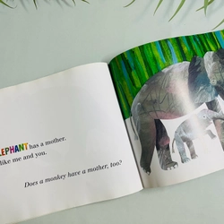 Does a Kangaroo Have a Mother, Too? – Eric Carle 545980