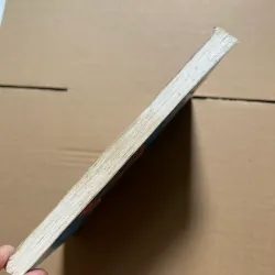 Những câu hỏi kỳ thú - Bách khoa cuộc sống 800164