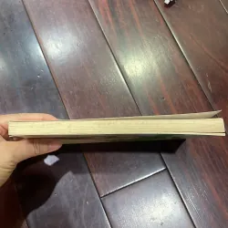 Văn học tuổi hoa - CHÓ HOANG - BÙI TỰ LỰC nxb KD 2017  1026002