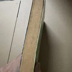 Beloved OXFORD 674920