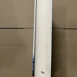 Nhìn lại sự thần kỳ của các nước Đông Nam Á 1019680