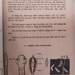 VẠN VẬT HỌC - NGUYỄN LẬP THỎA, LÊ DUY NGHIỆP 997629