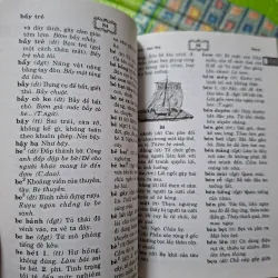 Từ điển Tiếng Việt 785168