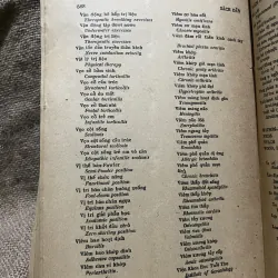 Y học phục hồi- sách y khổ lớn- 600 trang  1000309
