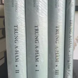 Tiểu Tạng Kinh Trung A-Hàm Bộ 1-3 - Tuệ Sỹ