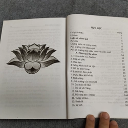 LUẬN VỀ NHÂN QUẢ 549206