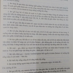 THẦN KINH HỌC  525516