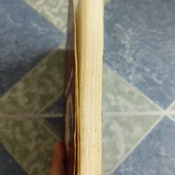 Người tình nhỏ của Trương Phi - Tất Trân 561466