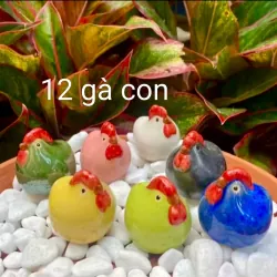 500k cho đàn vịt, đàn gà, 12 gà con, rổ đựng trứng 791105