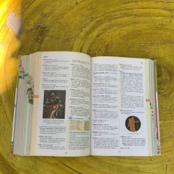 DICTIONNAIRE HACHETTE JUNIOR 761502