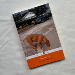 Modern Baptists - James Wilcox