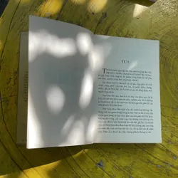 COMBO PHẬT GIÁO HOÀ HẢO- NHẬN THỨC PHẬT GIÁO HOÀ HẢO & SẤM GIẢNG THI VĂN GIÁO LÝ 687924