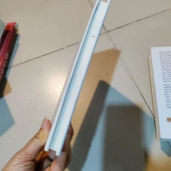 Tuần trăng mật mầu xanh 458816