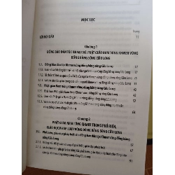 Chức sắc Phật giáo Nam tông Khmer trong phổ biến giáo dục pháp luật - 2019 - 344 trang - LỊCH SỬ - CHÍNH TRỊ - TRIẾT HỌC - ANTQ2911-34 712608