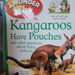 Combo 10 quyển I wonder why 733565