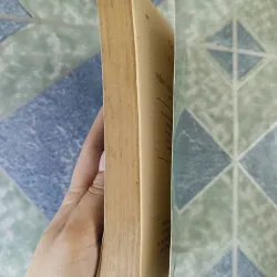 Tiếng Việt phong phú - Bằng Giang 793182