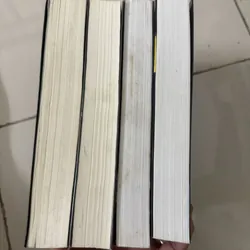 Ma thổi kèn, đạo mộ bút ký 590613