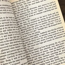 The Black Stallion 972887