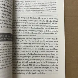 Ăn Gì Bổ Não 741004