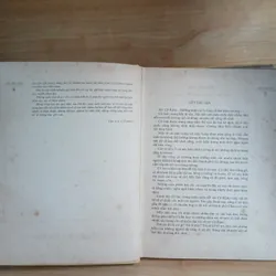 Ở Xứ Cỏ Rậm (Nxb Cầu Vồng, 1988) - Vla-đi-mia Bra-ghin 675487