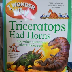 Combo 10 quyển I wonder why 733565