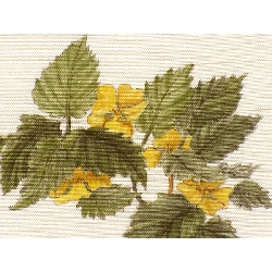 Đai Nagoya - Hàng hiệu Authentic 876234