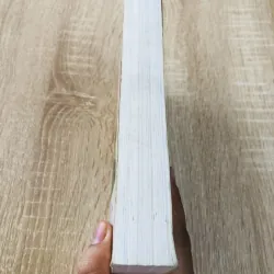 MẤY ĐIỆU SEN THANH  956995