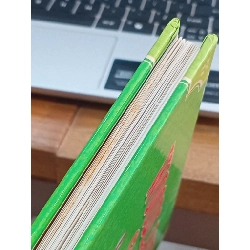 Woodland Stories 993570