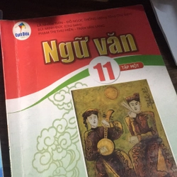 Ngữ Văn 11 Cánh diều