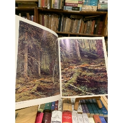 SHISHKIN: AURORA ART PUBLISHERS LENINGARD 201813