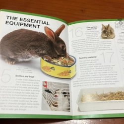PICTURE BOOK Gold medal guide Rabbit 534174