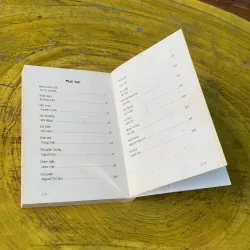 THẤT TÌNH KHÔNG SAO - NGUYỄN NGỌC THẠCH 746804