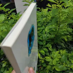 Những hình bóng cũ tập truyện ngắn của Ngọc Giao  989992