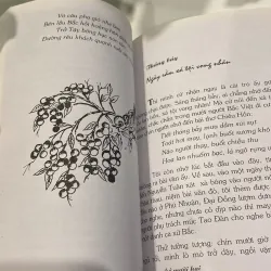 THƯƠNG NHỚ MƯỜI HAI, VŨ BẰNG (XB 2006) 972290