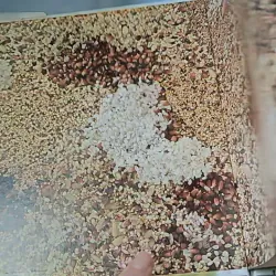 [Tặng nẹp góc] Truyện thiếu nhi Hàn Quốc: Moyamo Anu 56 -  모야모 아누와: 카멜레온에게 혼쭐난 아난시 732060