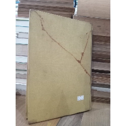 Major's PHYSICAL DIAGNOSIS - Mahlon H. Delp, M.D., Robert T. Manning, M.D. 791689