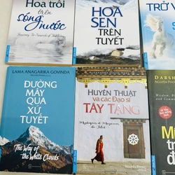 Thanh Lý Sách Tâm Linh - Nguyên Phong new 95% 454463