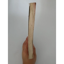 Nhân tố Enzyme - Thực hành - Hiromi Shinya 537803