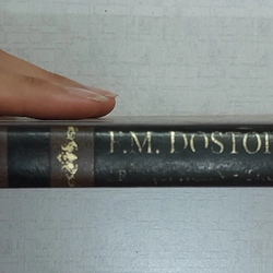 Truyện ngắn và truyện vừa Dostoievski Dostoyevsky 521541