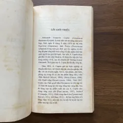 Olexin - Eleksandr Cuprin 974305