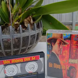 Băng Cassette Nhạc Ước Mộng Đôi Ta