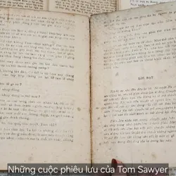 NHỮNG CUỘC PHIÊU LƯU CỦA TOM SAWYER - Mark Twain 716287