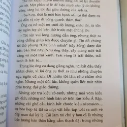 VƯỜN CÚC MÙA THU - NGUYỄN NAM TRÂN 763818