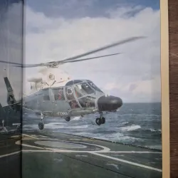 Modern Fighting Helicopters (Trực thăng chiến đấu hiện đại) 957988