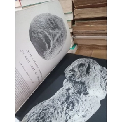 Des arts - Jardin 935021