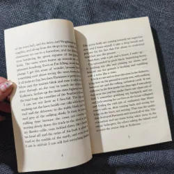 The Thunderbolt Pony - Stacy Gregg 791813