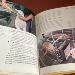 PICTURE BOOK Animal rights 536962
