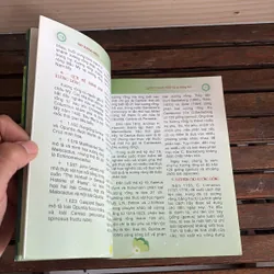 II Cây Cảnh: Xương Rồng Và Cây Mọng Nước (Sách Màu) - Dương Ngọc Hiệp 718585