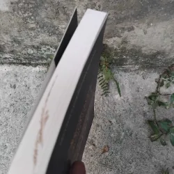 Văn hóa nghệ thuật thời Lý  1037883