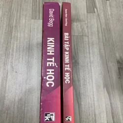 Kinh tế học - David Begg. Combo 2 cuốn bìa cứng. 8b3 572611